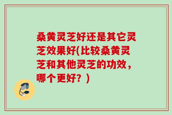 桑黄灵芝好还是其它灵芝效果好(比较桑黄灵芝和其他灵芝的功效，哪个更好？)