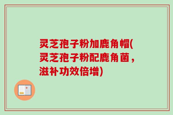 灵芝孢子粉加鹿角帽(灵芝孢子粉配鹿角菌,滋补功效倍增) 灵芝孢子粉加鹿角帽(灵芝孢子粉配鹿角菌,滋补功效倍增)