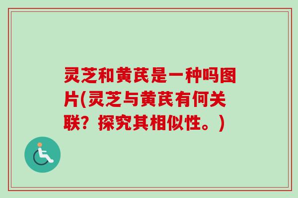 灵芝和黄芪是一种吗图片(灵芝与黄芪有何关联？探究其相似性。)