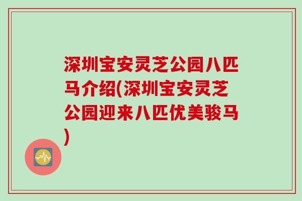 深圳宝安灵芝公园八匹马介绍(深圳宝安灵芝公园迎来八匹优美骏马)