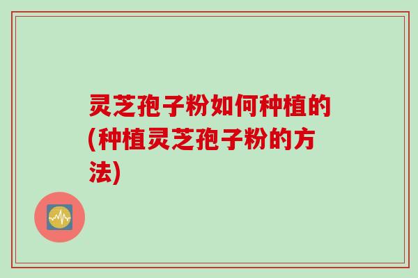 灵芝孢子粉如何种植的(种植灵芝孢子粉的方法) 灵芝孢子粉如何种植的(种植灵芝孢子粉的方法)