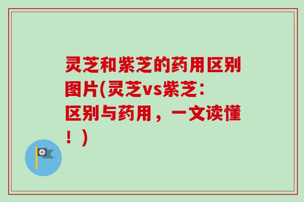 灵芝和紫芝的药用区别图片(灵芝vs紫芝:区别与药用,一文读懂!) 灵芝和紫芝的药用区别图片(灵芝vs紫芝:区别与药用,一文读懂!)