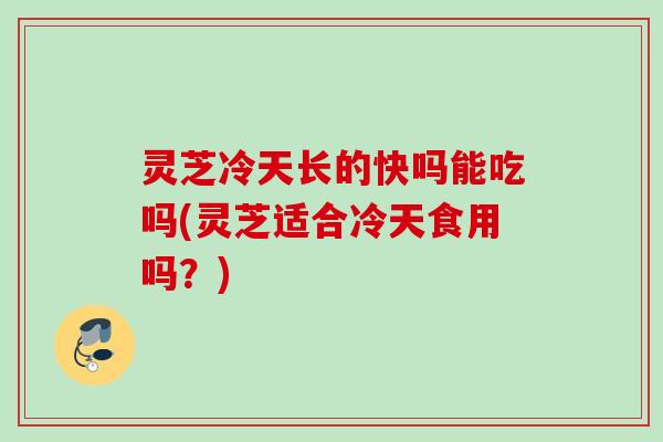 灵芝冷天长的快吗能吃吗(灵芝适合冷天食用吗？)