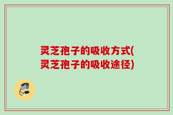 灵芝孢子的吸收方式(灵芝孢子的吸收途径) 灵芝孢子的吸收方式(灵芝孢子的吸收途径)