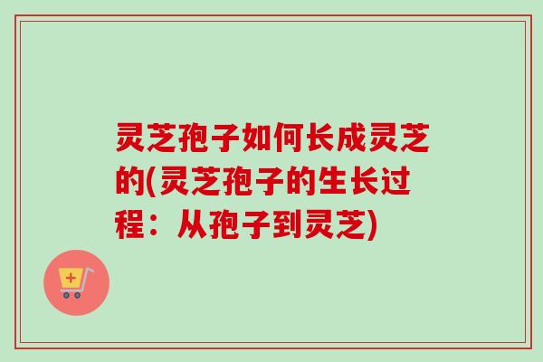 灵芝孢子如何长成灵芝的(灵芝孢子的生长过程：从孢子到灵芝)