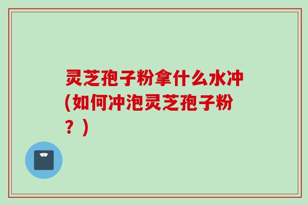 灵芝孢子粉拿什么水冲(如何冲泡灵芝孢子粉？)