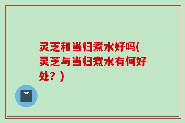 灵芝和当归煮水好吗(灵芝与当归煮水有何好处？)