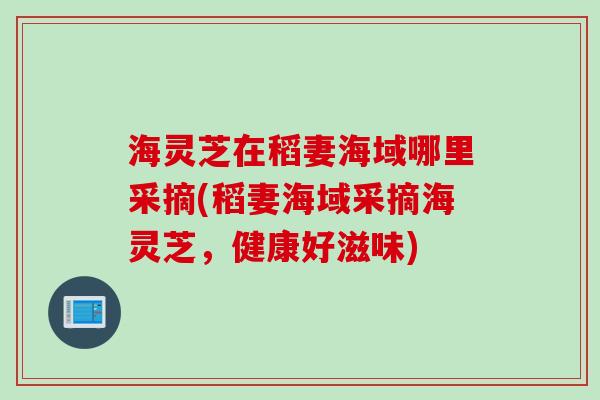 海灵芝在稻妻海域哪里采摘(稻妻海域采摘海灵芝，健康好滋味)