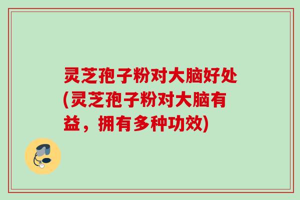 灵芝孢子粉对大脑好处(灵芝孢子粉对大脑有益,拥有多种功效) 灵芝孢子粉对大脑好处(灵芝孢子粉对大脑有益,拥有多种功效)