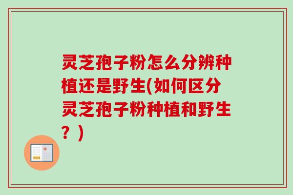 灵芝孢子粉怎么分辨种植还是野生(如何区分灵芝孢子粉种植和野生？)