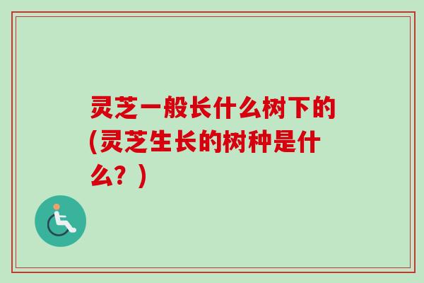 灵芝一般长什么树下的(灵芝生长的树种是什么？)