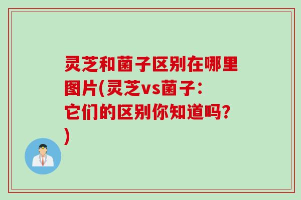 灵芝和菌子区别在哪里图片(灵芝vs菌子:它们的区别你知道吗?) 灵芝和菌子区别在哪里图片(灵芝vs菌子:它们的区别你知道吗?)