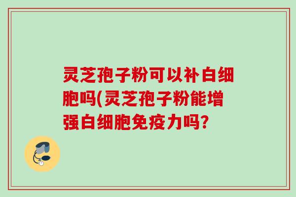 灵芝孢子粉可以补白细胞吗(灵芝孢子粉能增强白细胞免疫力吗？