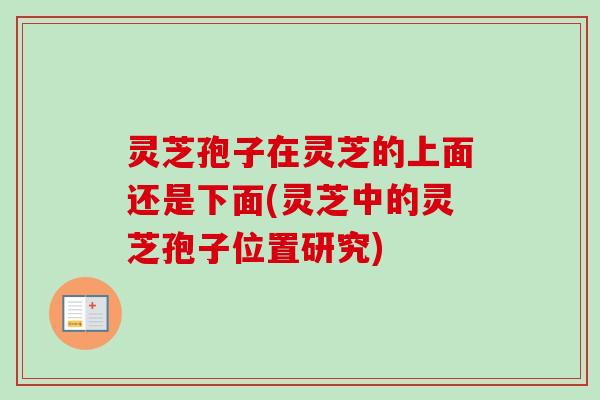 灵芝孢子在灵芝的上面还是下面(灵芝中的灵芝孢子位置研究)