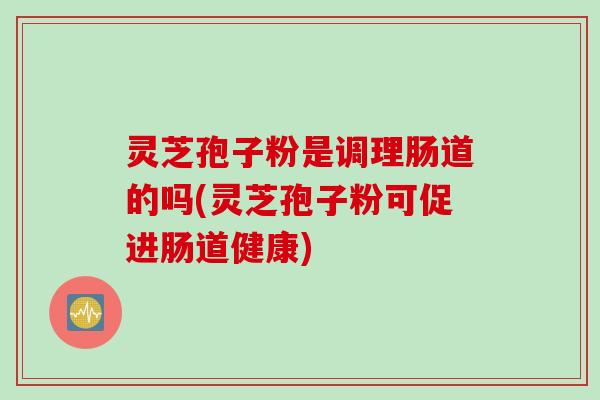 灵芝孢子粉是调理肠道的吗(灵芝孢子粉可促进肠道健康)