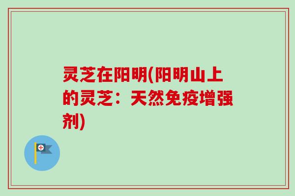 灵芝在阳明(阳明山上的灵芝：天然免疫增强剂)