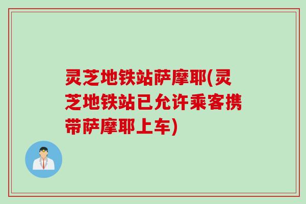 灵芝地铁站萨摩耶(灵芝地铁站已允许乘客携带萨摩耶上车)