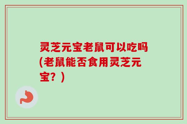 灵芝元宝老鼠可以吃吗(老鼠能否食用灵芝元宝？)