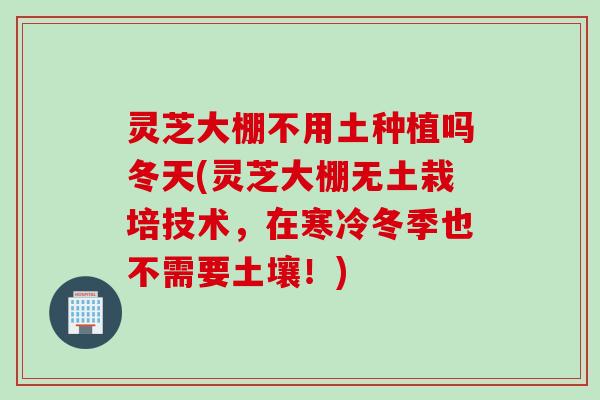 灵芝大棚不用土种植吗冬天(灵芝大棚无土栽培技术，在寒冷冬季也不需要土壤！)