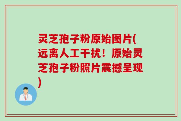 灵芝孢子粉原始图片(远离人工干扰!原始灵芝孢子粉照片震撼呈现) 灵芝孢子粉原始图片(远离人工干扰!原始灵芝孢子粉照片震撼呈现)