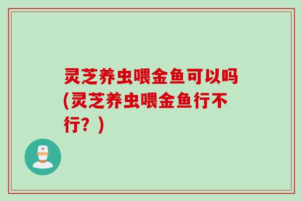 灵芝养虫喂金鱼可以吗(灵芝养虫喂金鱼行不行？)