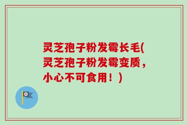 灵芝孢子粉发霉长毛(灵芝孢子粉发霉变质，小心不可食用！)