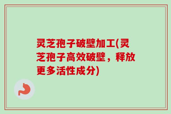 灵芝孢子破壁加工(灵芝孢子高效破壁，释放更多活性成分)