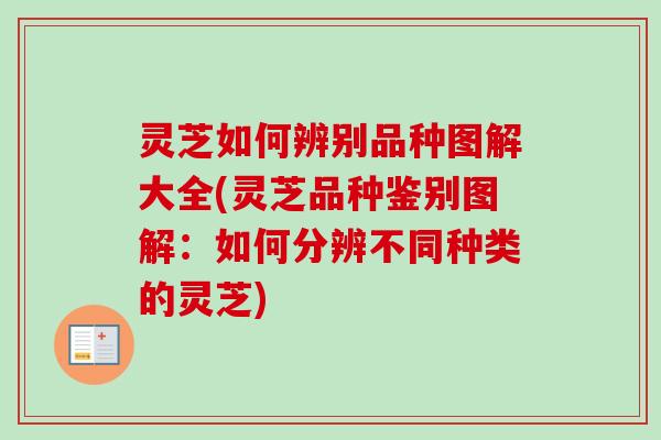 灵芝如何辨别品种图解大全(灵芝品种鉴别图解:如何分辨不同种类的灵芝) 灵芝如何辨别品种图解大全(灵芝品种鉴别图解:如何分辨不同种类的灵芝)