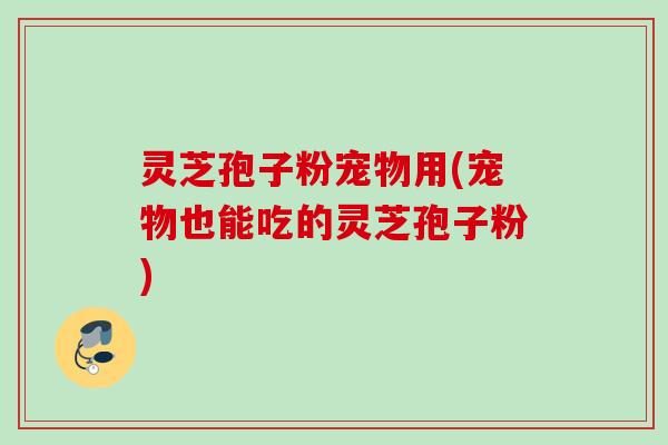 灵芝孢子粉宠物用(宠物也能吃的灵芝孢子粉) 灵芝孢子粉宠物用(宠物也能吃的灵芝孢子粉)