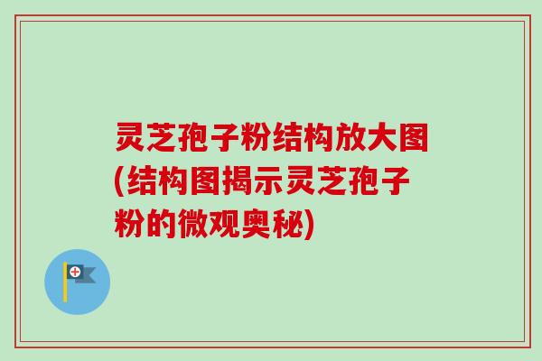 灵芝孢子粉结构放大图(结构图揭示灵芝孢子粉的微观奥秘) 灵芝孢子粉结构放大图(结构图揭示灵芝孢子粉的微观奥秘)