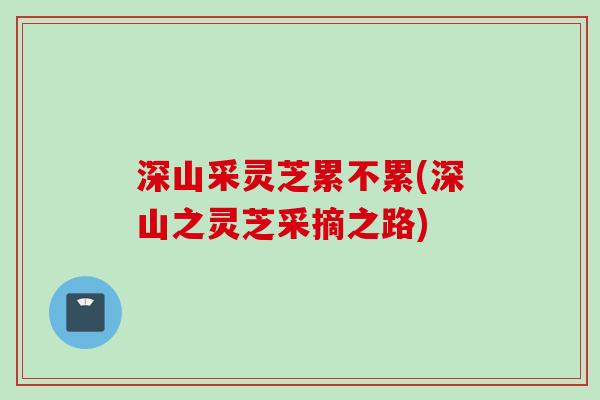 深山采灵芝累不累(深山之灵芝采摘之路) 深山采灵芝累不累(深山之灵芝采摘之路)