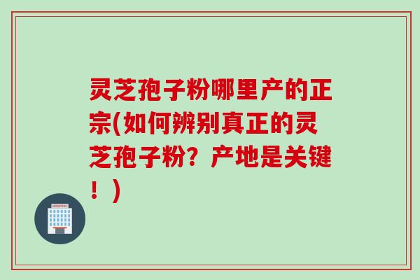 灵芝孢子粉哪里产的正宗(如何辨别真正的灵芝孢子粉？产地是关键！)