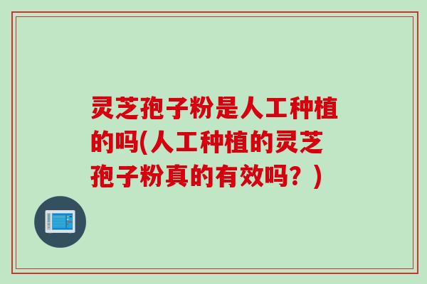灵芝孢子粉是人工种植的吗(人工种植的灵芝孢子粉真的有效吗？)