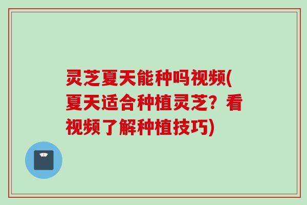 灵芝夏天能种吗视频(夏天适合种植灵芝？看视频了解种植技巧)