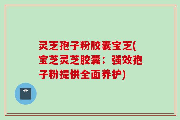 灵芝孢子粉胶囊宝芝(宝芝灵芝胶囊：强效孢子粉提供全面养护)