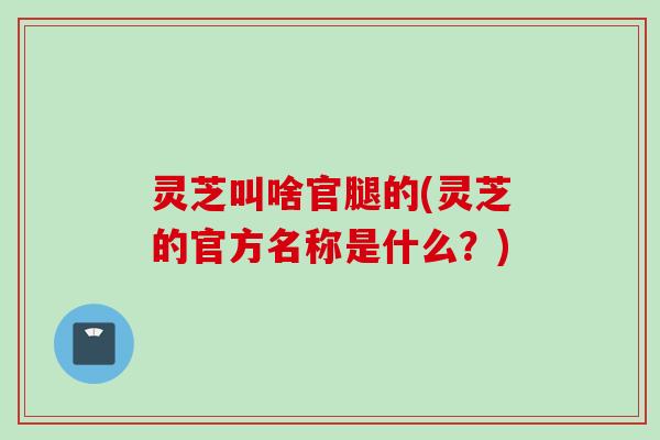灵芝叫啥官腿的(灵芝的官方名称是什么?) 灵芝叫啥官腿的(灵芝的官方名称是什么?)