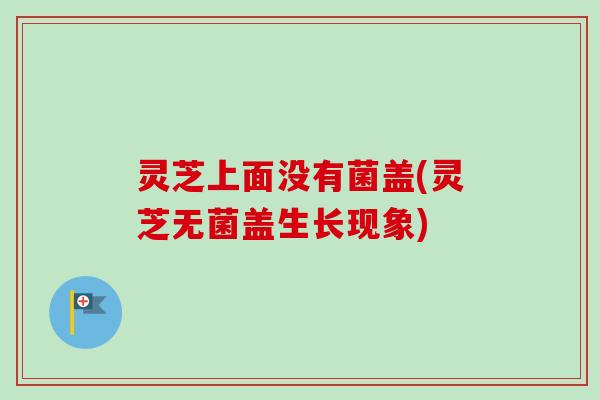 灵芝上面没有菌盖(灵芝无菌盖生长现象)
