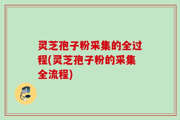 灵芝孢子粉采集的全过程(灵芝孢子粉的采集全流程)