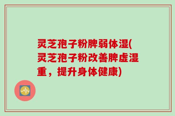灵芝孢子粉脾弱体湿(灵芝孢子粉改善脾虚湿重，提升身体健康)