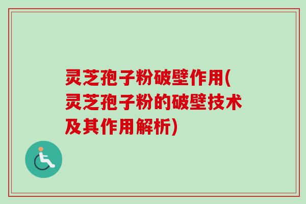 灵芝孢子粉破壁作用(灵芝孢子粉的破壁技术及其作用解析)