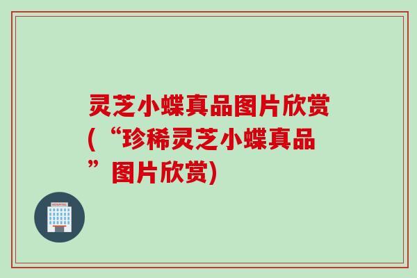 灵芝小蝶真品图片欣赏(“珍稀灵芝小蝶真品”图片欣赏)