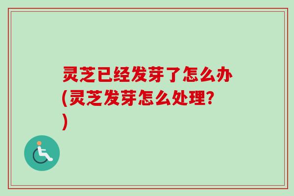 灵芝已经发芽了怎么办(灵芝发芽怎么处理？)