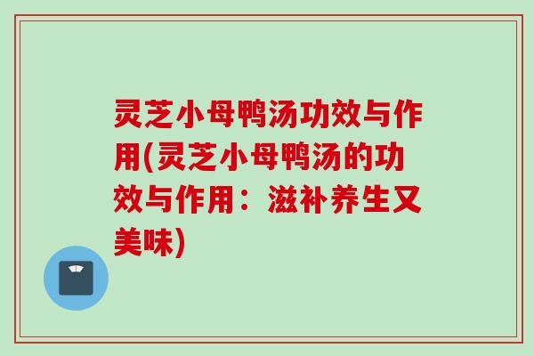 灵芝小母鸭汤功效与作用(灵芝小母鸭汤的功效与作用:滋补养生又美味) 灵芝小母鸭汤功效与作用(灵芝小母鸭汤的功效与作用:滋补养生又美味)