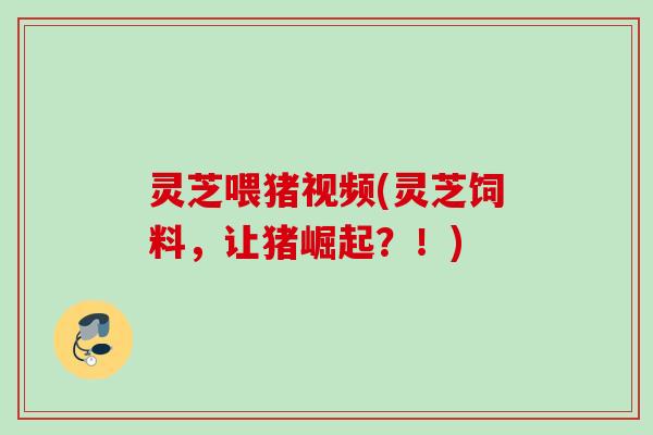 灵芝喂猪视频(灵芝饲料，让猪崛起？！)