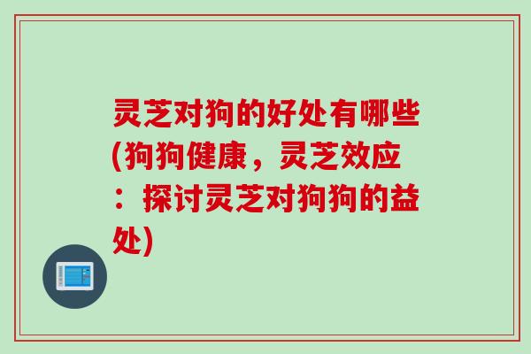 灵芝对狗的好处有哪些(狗狗健康，灵芝效应：探讨灵芝对狗狗的益处)