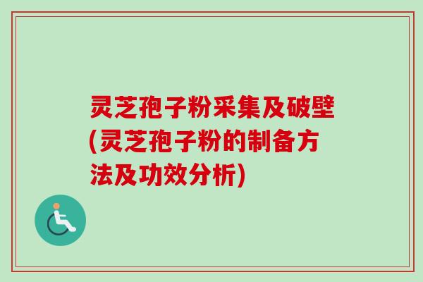 灵芝孢子粉采集及破壁(灵芝孢子粉的制备方法及功效分析)