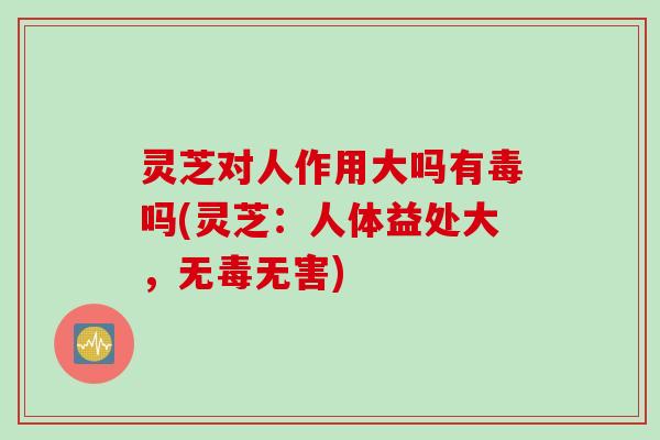 灵芝对人作用大吗有毒吗(灵芝:人体益处大,无毒无害) 灵芝对人作用大吗有毒吗(灵芝:人体益处大,无毒无害)