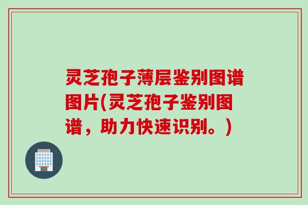 灵芝孢子薄层鉴别图谱图片(灵芝孢子鉴别图谱，助力快速识别。)