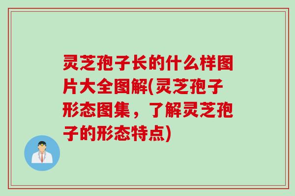 灵芝孢子长的什么样图片大全图解(灵芝孢子形态图集，了解灵芝孢子的形态特点)