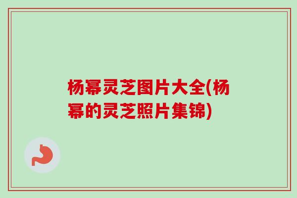 杨幂灵芝图片大全(杨幂的灵芝照片集锦)